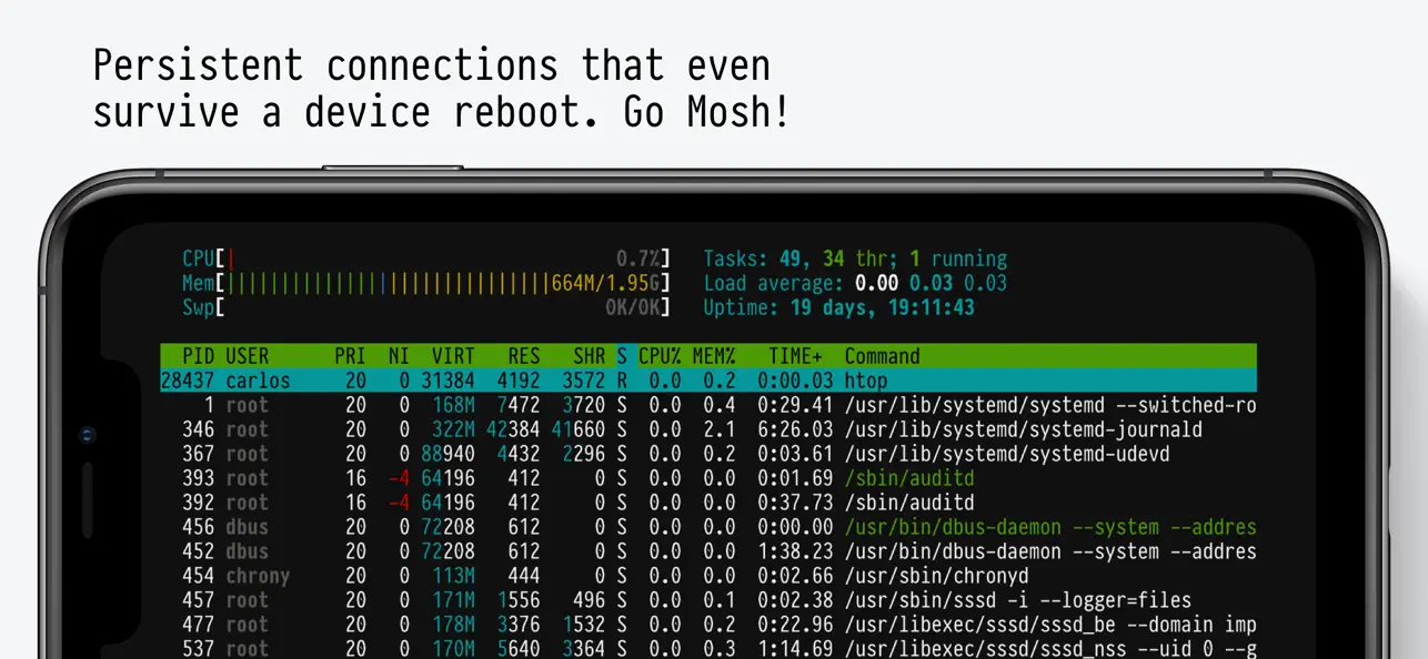 Blink Shell terminal interface