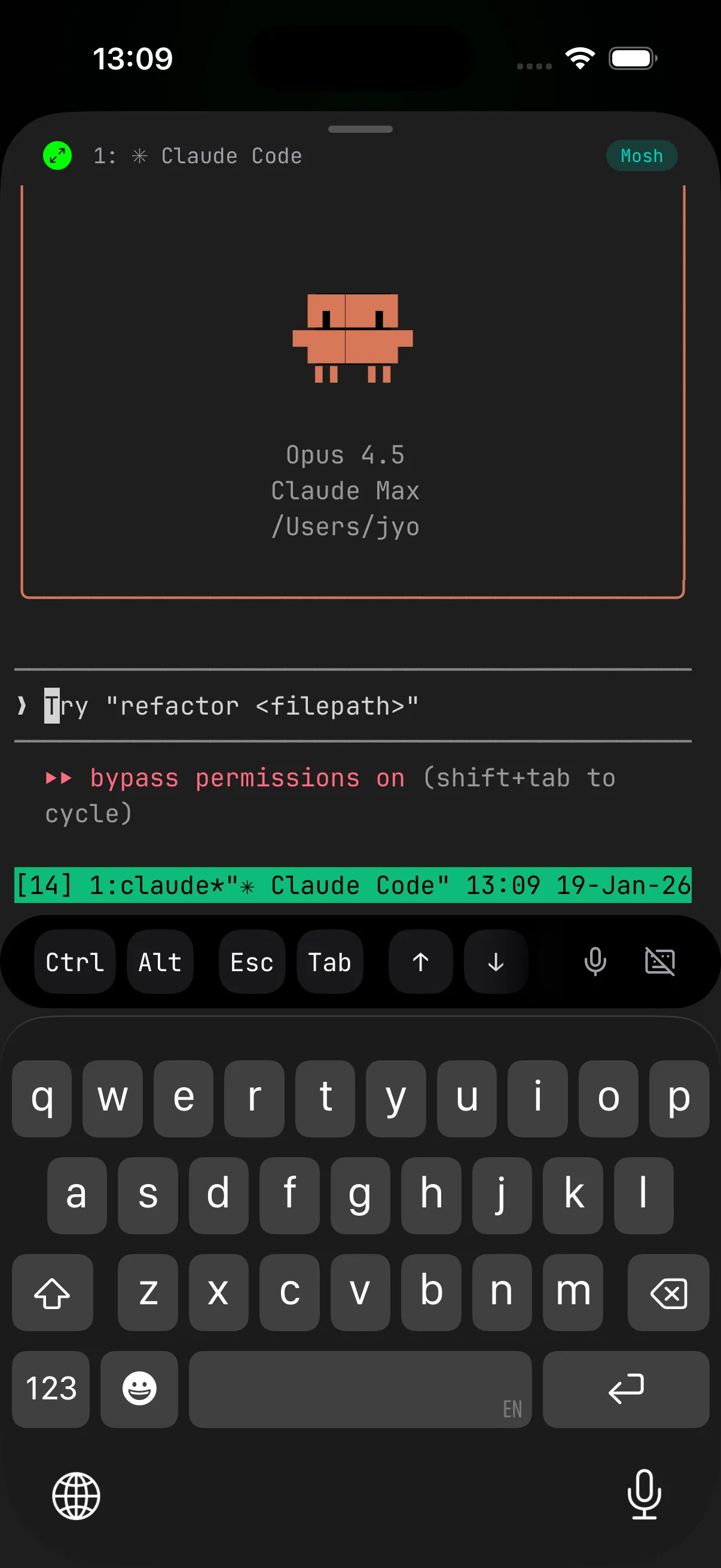 tmux session with Claude Code running